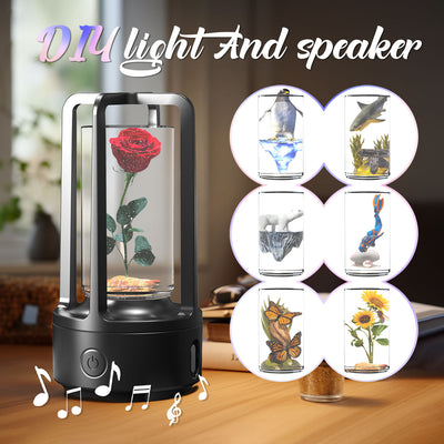 No Accessories 2 In 1 DIY Audio Crystal Light